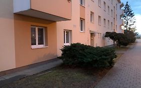 Přízemí v parku. (Apartment no.8)